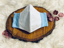 Load image into Gallery viewer, Color Combo 1- Three Layer, Anti-Fluid Face Mask